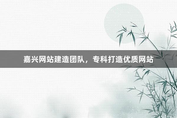 嘉兴网站建造团队，专科打造优质网站