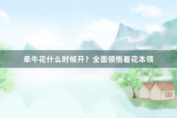 牵牛花什么时候开？全面领悟着花本领